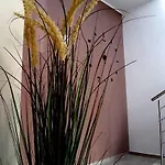 Filieri 3*