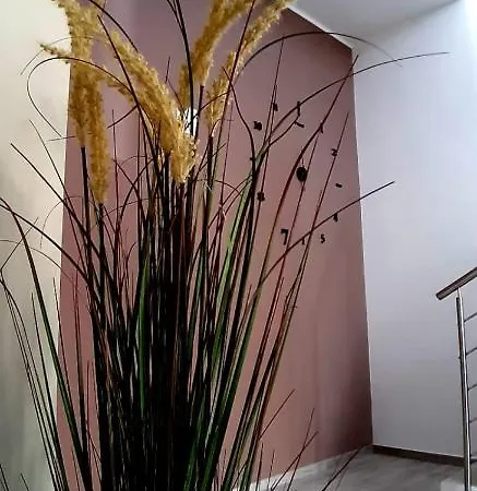 Filieri 3*