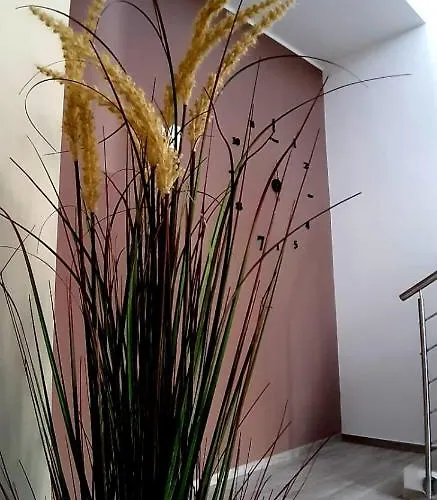 Filieri 3*